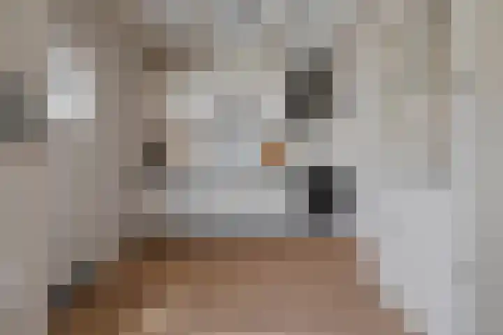 Gasthuisweg 21 Den Oever thumbnail 7