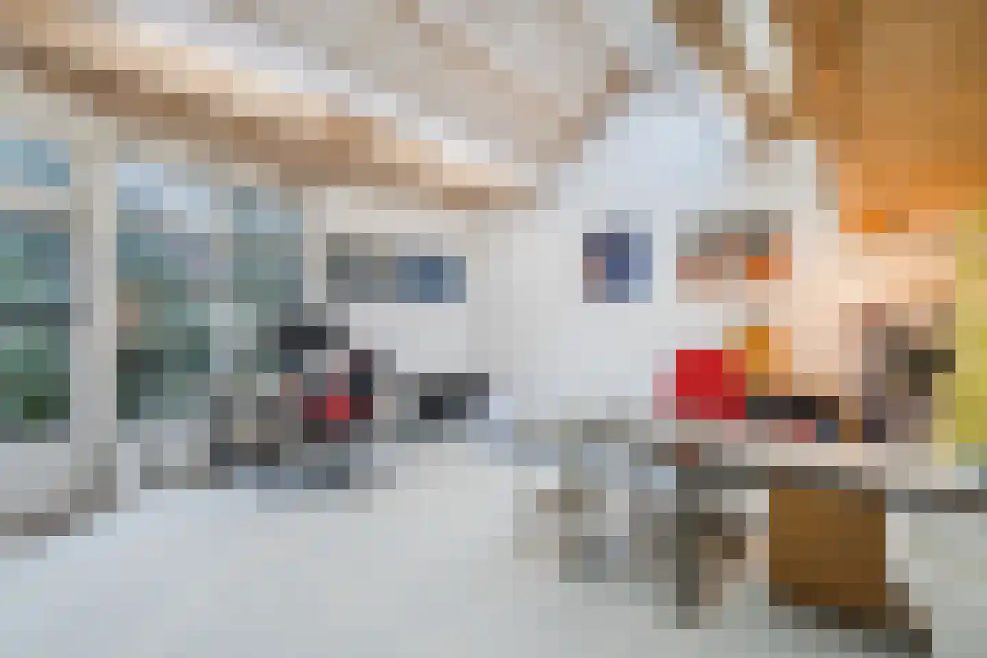 Gasweg 6 Bergen (NH) thumbnail 5
