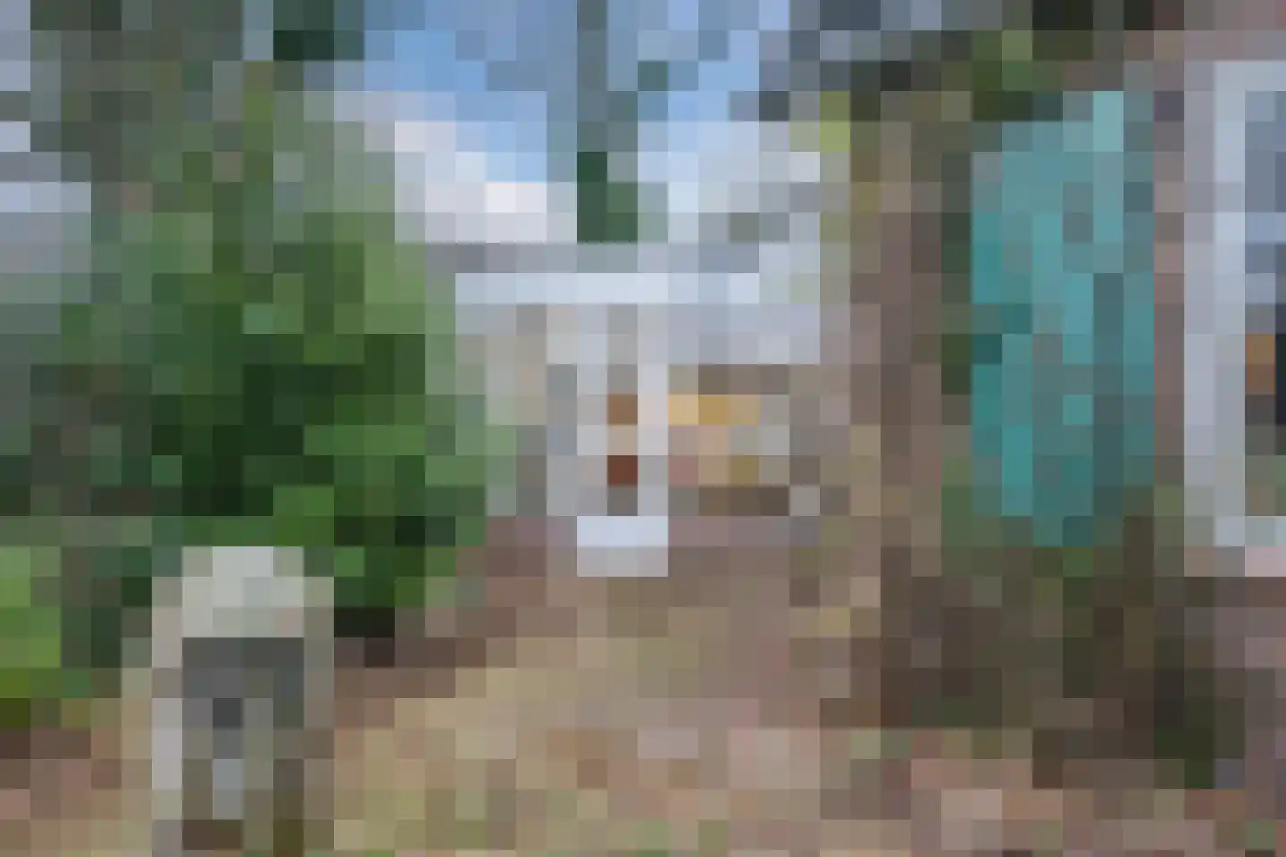 Gasweg 6 Bergen (NH) thumbnail 56