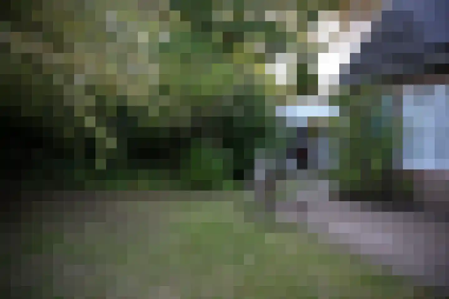 Gasweg 6 Bergen (NH) thumbnail 57