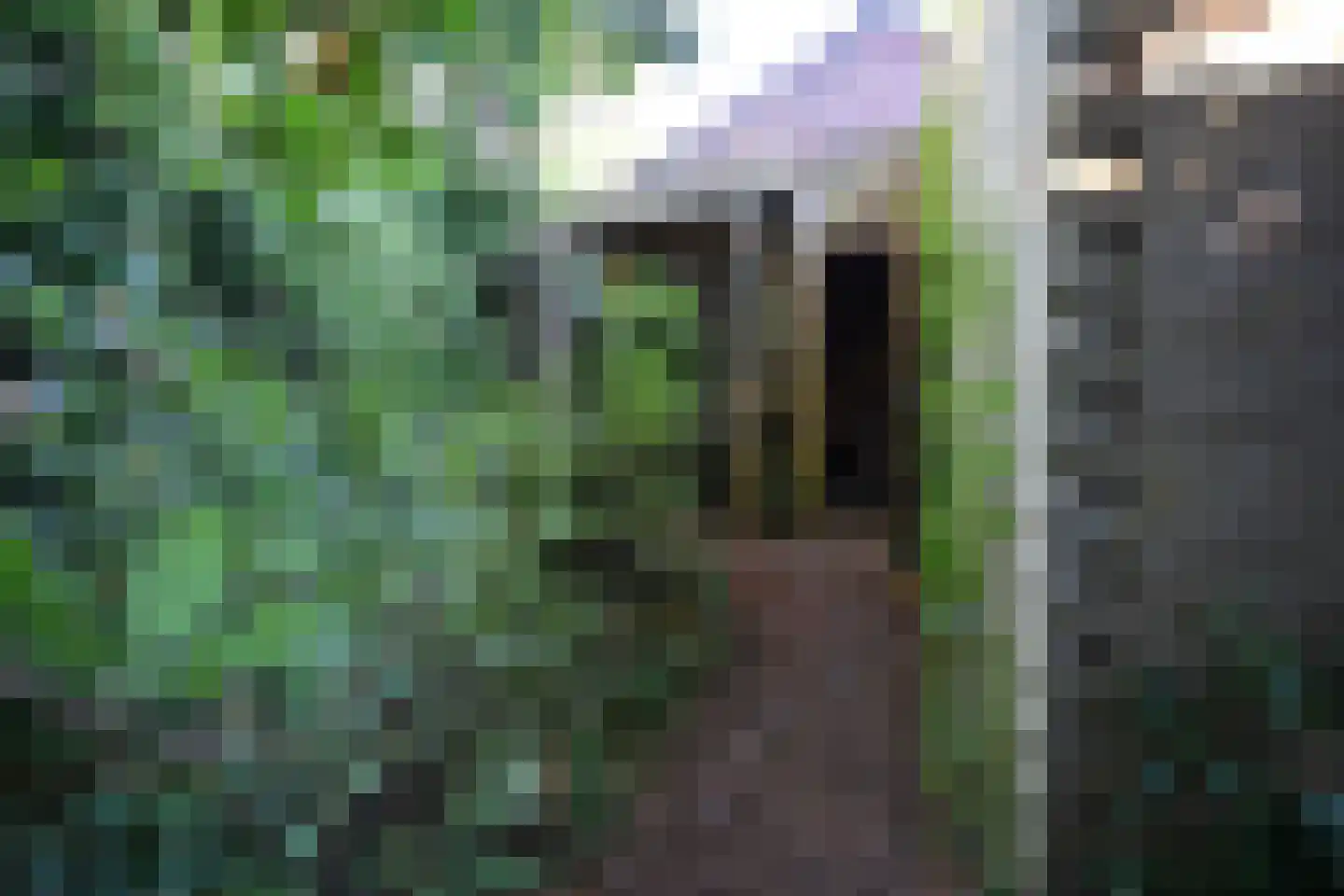 Gasweg 6 Bergen (NH) thumbnail 64