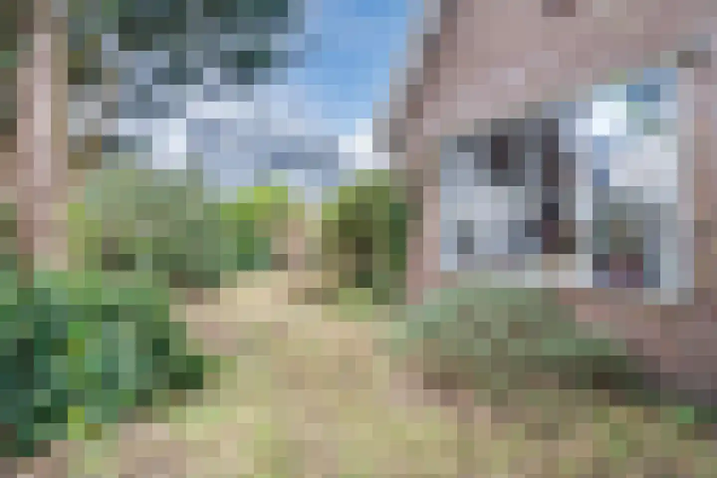 Gasweg 6 Bergen (NH) thumbnail 65