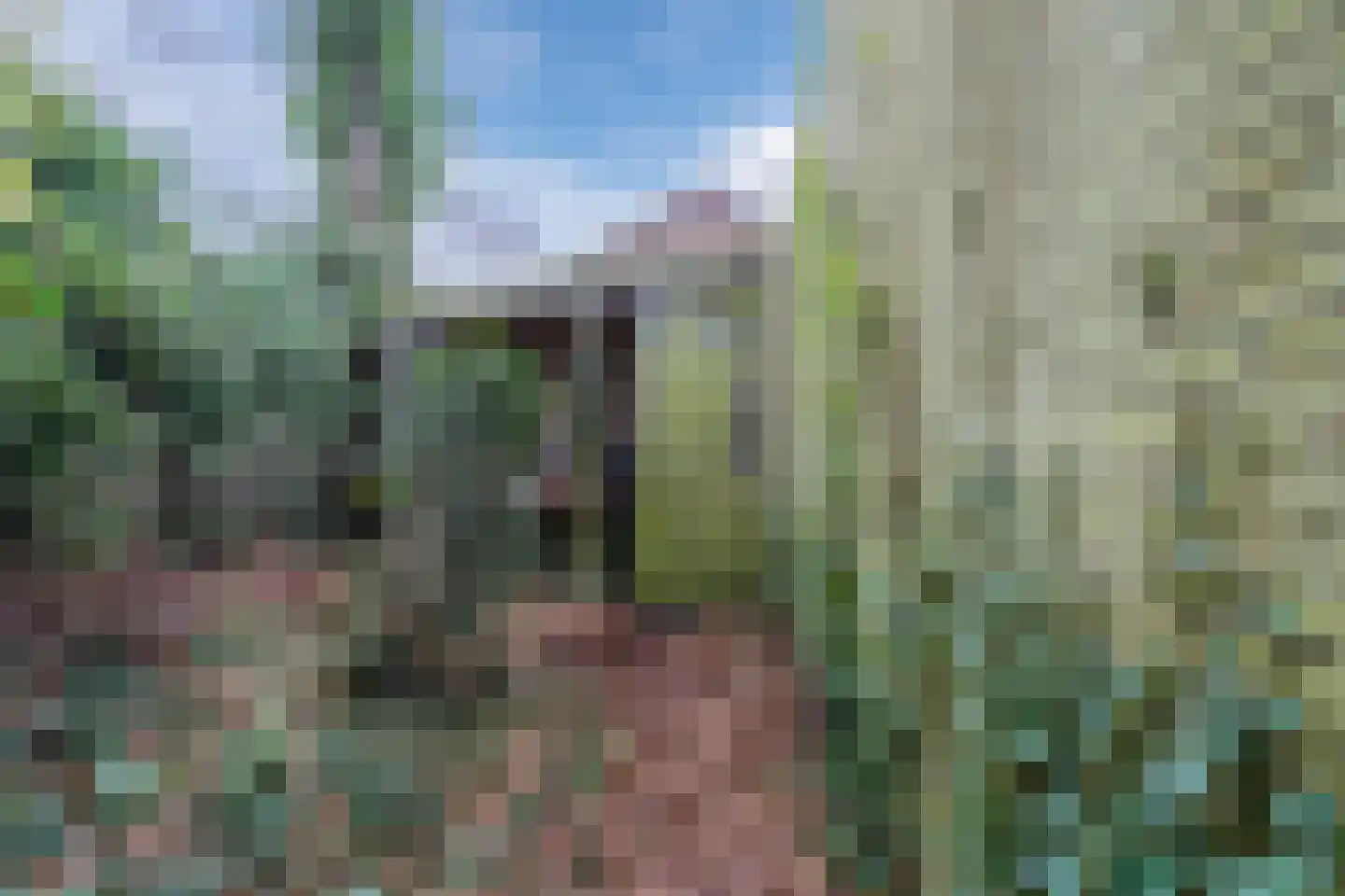 Gasweg 6 Bergen (NH) thumbnail 66
