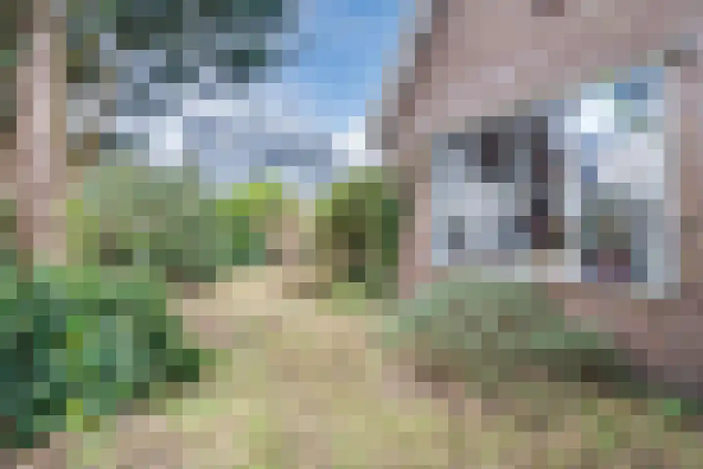 Gasweg 6 Bergen (NH) thumbnail 67