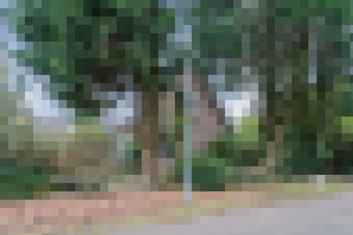 Gasweg 6 Bergen (NH) thumbnail 67