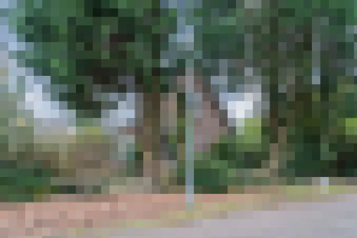 Gasweg 6 Bergen (NH) thumbnail 69