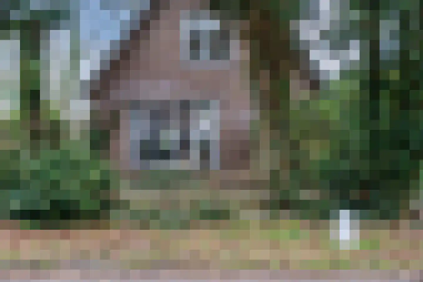 Gasweg 6 Bergen (NH) thumbnail 7