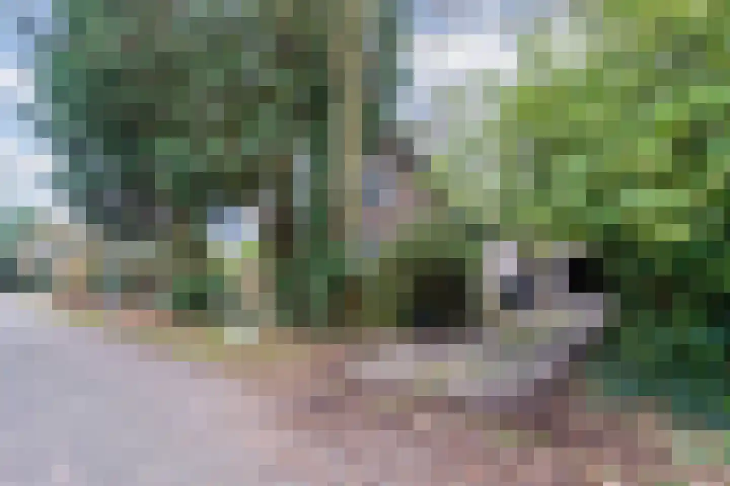 Gasweg 6 Bergen (NH) thumbnail 70
