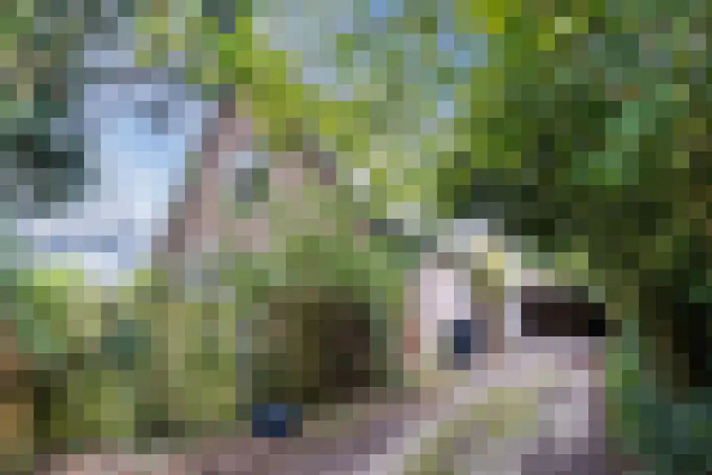 Gasweg 6 Bergen (NH) thumbnail 8