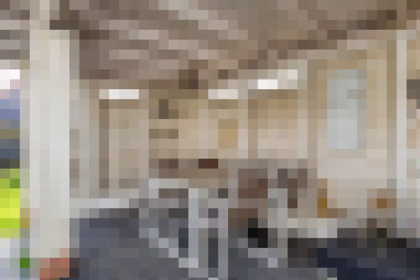 Gat van West Noord Westen 12 Zierikzee thumbnail 25