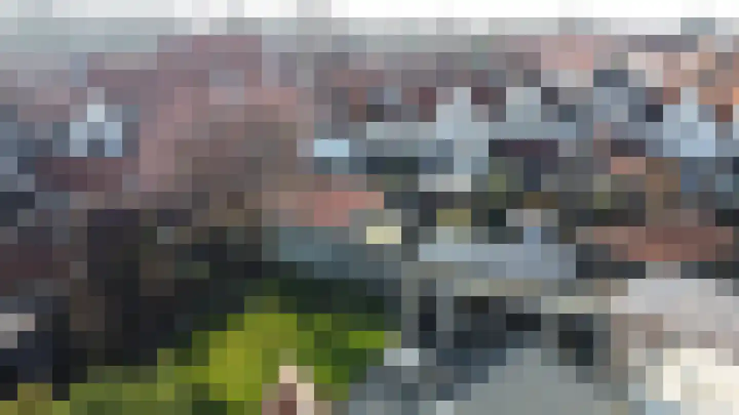 Gat van West Noord Westen 12 Zierikzee thumbnail 30