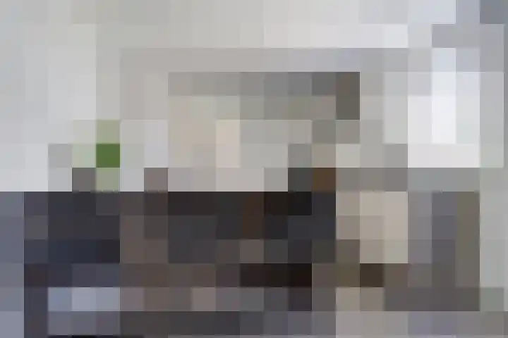 Gat van West Noord Westen 2 Zierikzee thumbnail 14