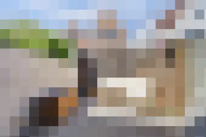 Gat van West Noord Westen 2 Zierikzee thumbnail 22