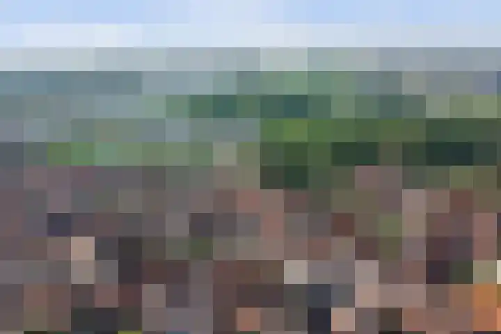 Gat van West Noord Westen 2 Zierikzee thumbnail 26