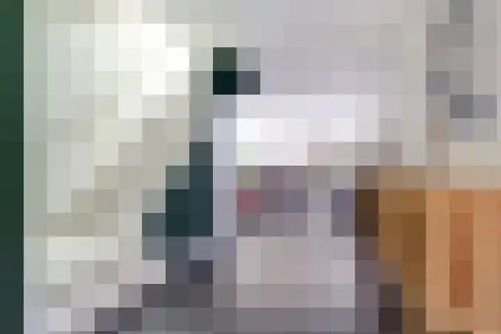 Gat van West Noord Westen 2 Zierikzee thumbnail 7