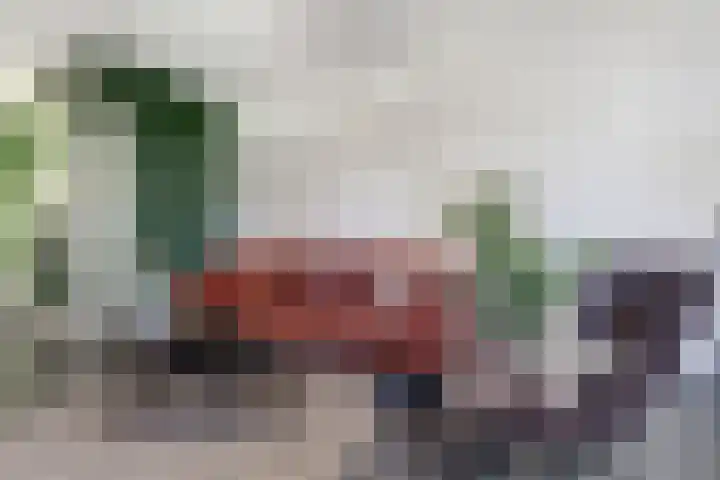 Gat van West Noord Westen 2 Zierikzee thumbnail 9