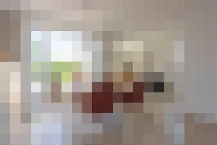Gateweiden 18 Landgraaf thumbnail 8