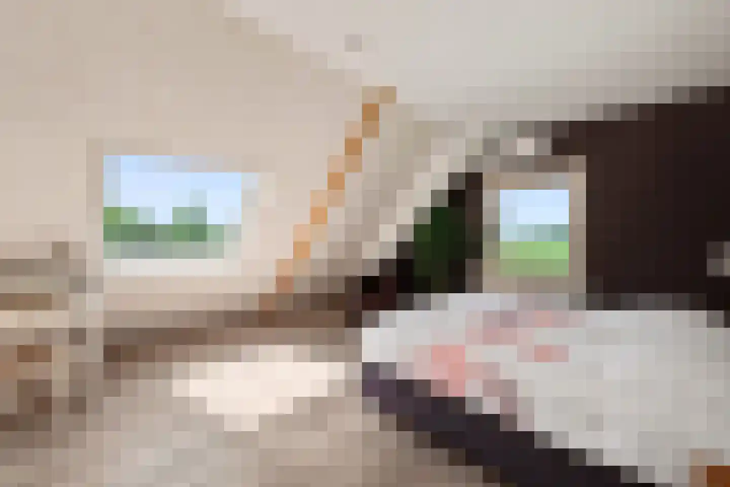 Gatherweg 13 Vaassen thumbnail 25
