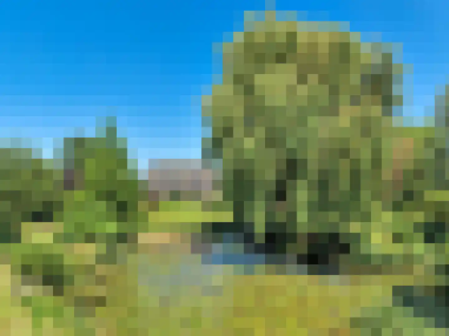 Gatherweg 13 Vaassen thumbnail 5