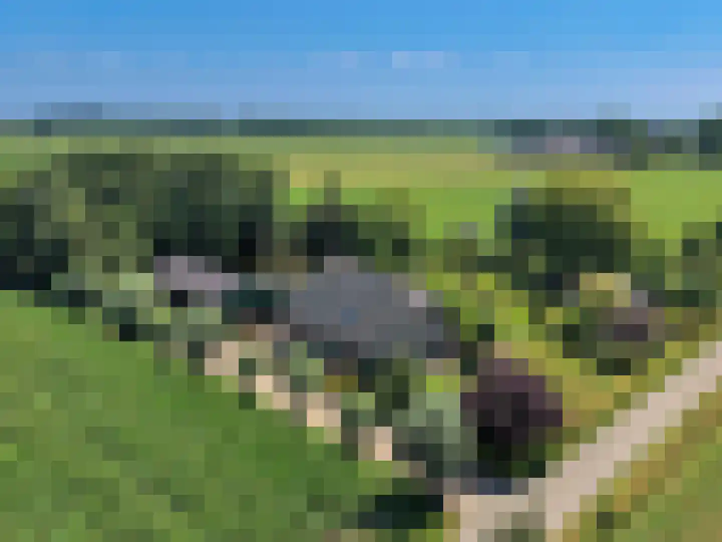 Gatherweg 13 Vaassen thumbnail 6