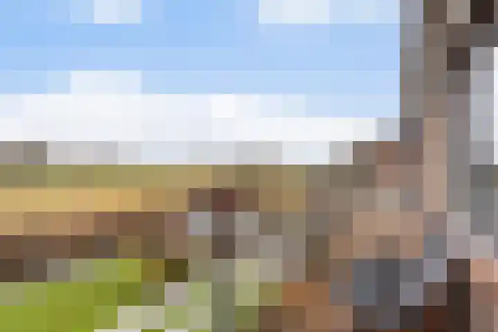 Gatsedijk 11 Maasdam thumbnail 10