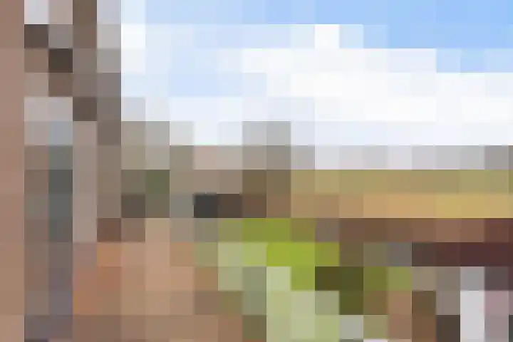 Gatsedijk 11 Maasdam thumbnail 11