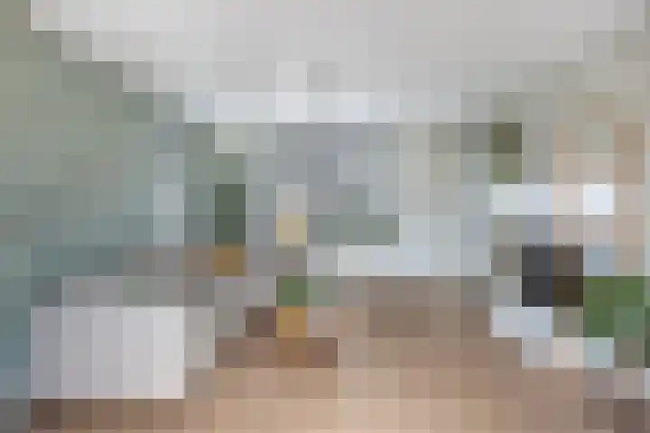 Gatsedijk 11 Maasdam thumbnail 12