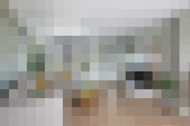 Gatsedijk 11 Maasdam thumbnail 13