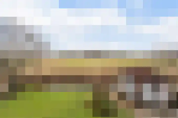 Gatsedijk 11 Maasdam thumbnail 14