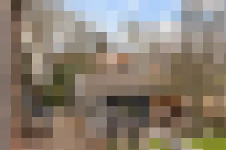 Gatsedijk 11 Maasdam thumbnail 15