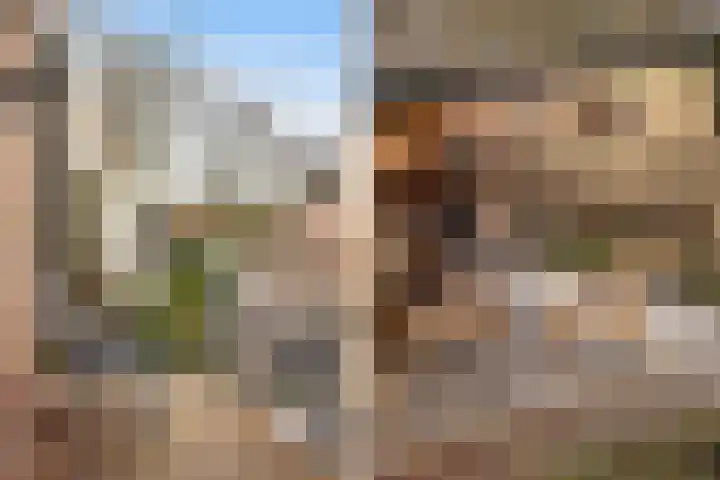 Gatsedijk 11 Maasdam thumbnail 16