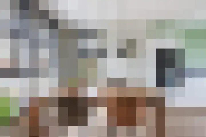 Gatsedijk 11 Maasdam thumbnail 18
