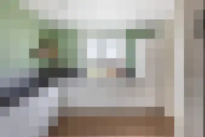 Gatsedijk 11 Maasdam thumbnail 21