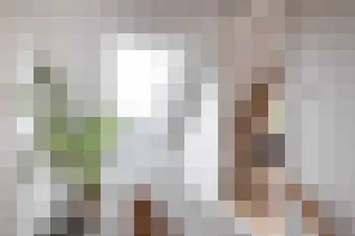 Gatsedijk 11 Maasdam thumbnail 27