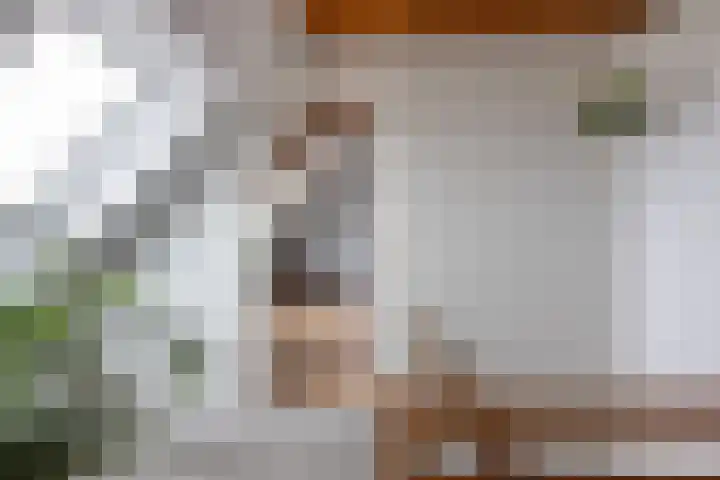 Gatsedijk 11 Maasdam thumbnail 28
