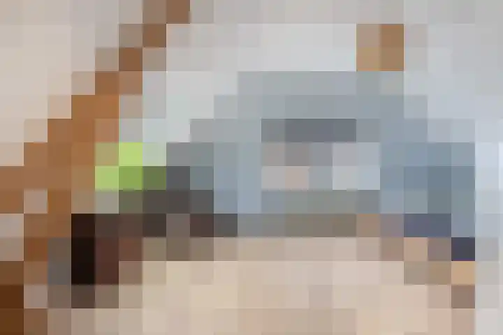 Gatsedijk 11 Maasdam thumbnail 29