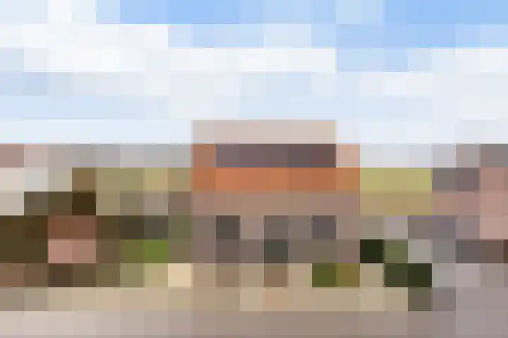 Gatsedijk 11 Maasdam foto 3