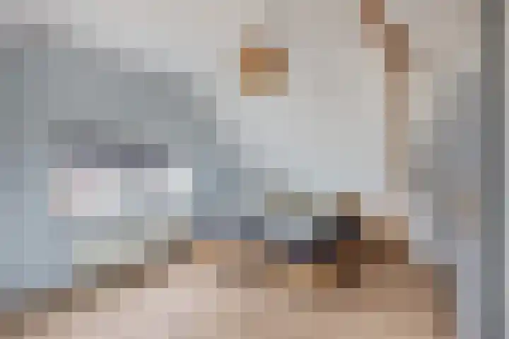 Gatsedijk 11 Maasdam thumbnail 30