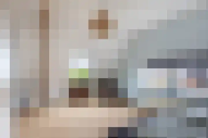 Gatsedijk 11 Maasdam thumbnail 31