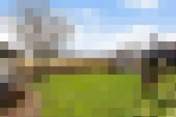 Gatsedijk 11 Maasdam thumbnail 44