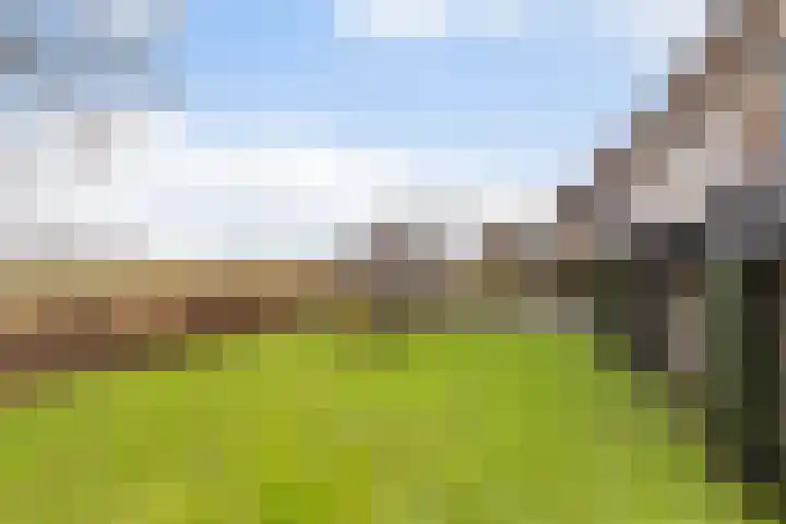 Gatsedijk 11 Maasdam thumbnail 45