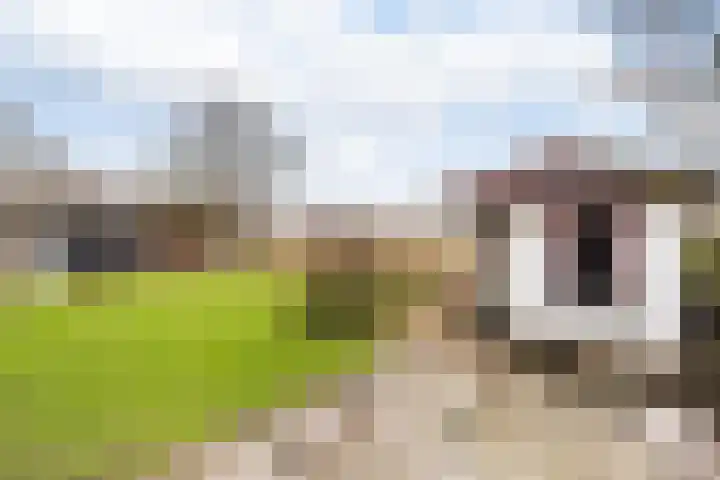 Gatsedijk 11 Maasdam thumbnail 46