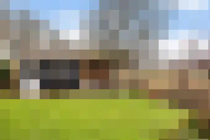 Gatsedijk 11 Maasdam thumbnail 47