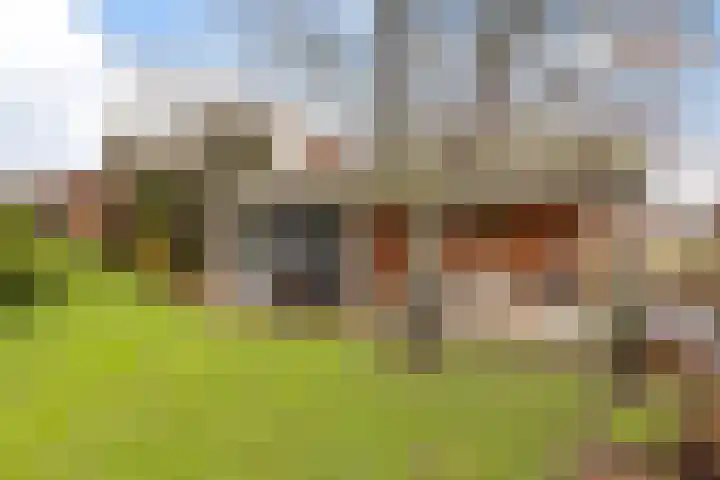 Gatsedijk 11 Maasdam thumbnail 48