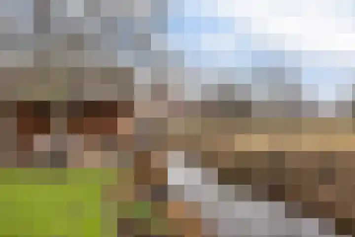 Gatsedijk 11 Maasdam thumbnail 49