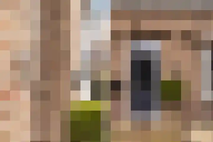 Gatsedijk 11 Maasdam thumbnail 5