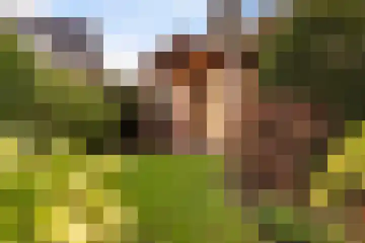 Gatsedijk 11 Maasdam thumbnail 51