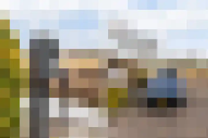 Gatsedijk 11 Maasdam thumbnail 52