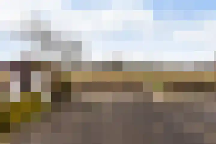 Gatsedijk 11 Maasdam thumbnail 53