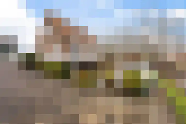 Gatsedijk 11 Maasdam thumbnail 54